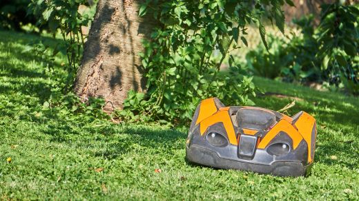 From Sci-Fi to Reality: The Evolution of Robotic Lawnmower Technology